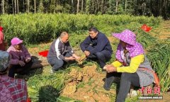 （乡村行·看振兴）广东塘其